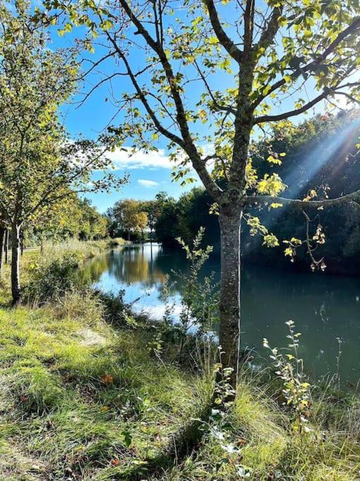 Insolite Peniche Amazonie Canal Du Midi Gardouch 外观 照片