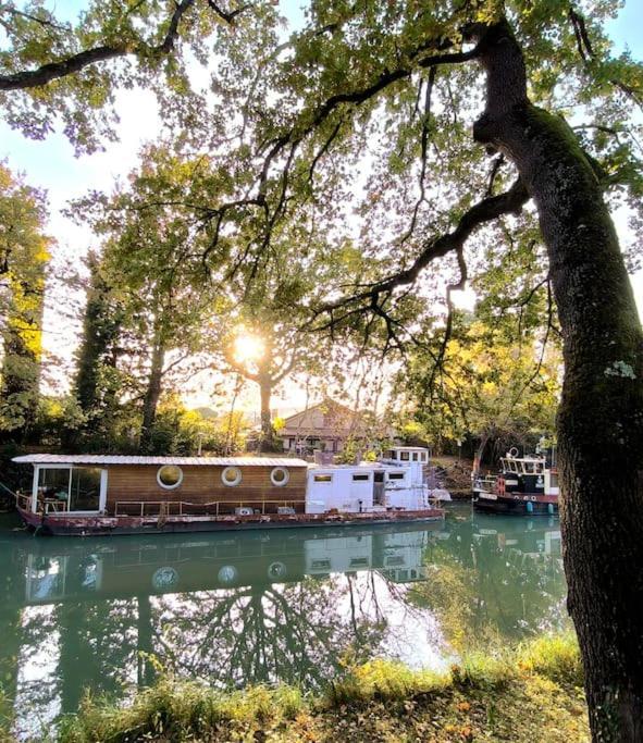 Insolite Peniche Amazonie Canal Du Midi Gardouch 外观 照片